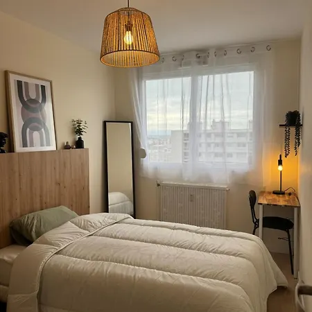 Appt Ideal Groupes, Prox Eurexpo Апартаменты *